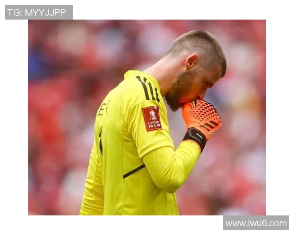 库尔图瓦：从门将到传奇的足球旅程与辉煌成就解析