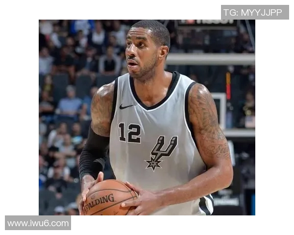 勇士与猛龙激战CCTV114精彩回顾与赛后分析